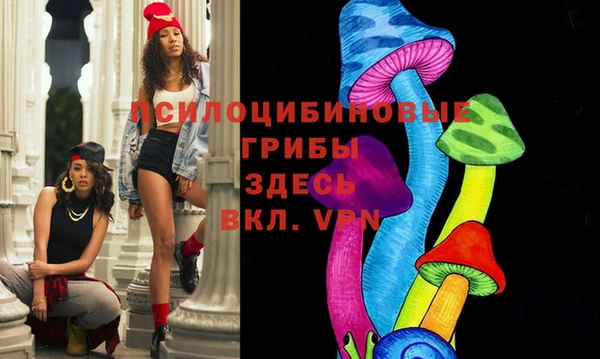 mix Бородино