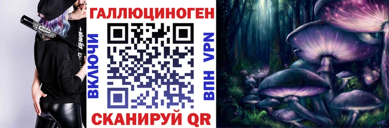 mega ссылка Кимовск Псилоцибиновые грибы GOLDEN TEACHER купить